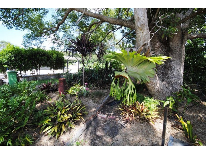 821 Kin Kin Road, Wolvi QLD 4570