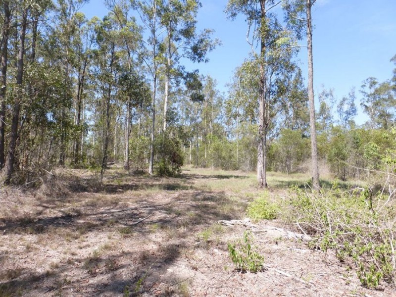 Tamaree QLD 4570