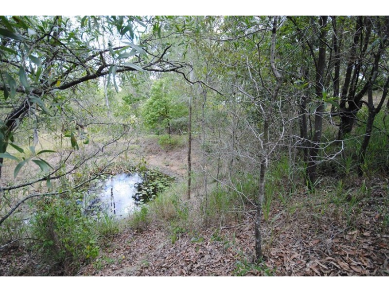 47 Witham Road, The Dawn QLD 4570