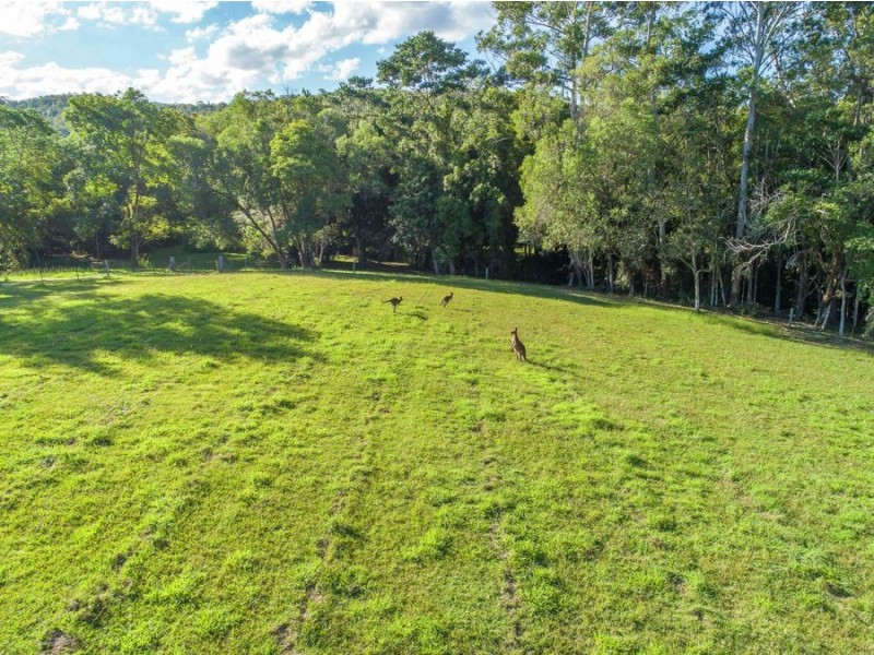 417 Cootharaba Road, Cootharaba QLD 4565