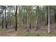 Lot 13 Herron Road, Pie Creek QLD 4570