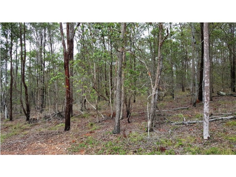 Lot 13 Herron Road, Pie Creek QLD 4570