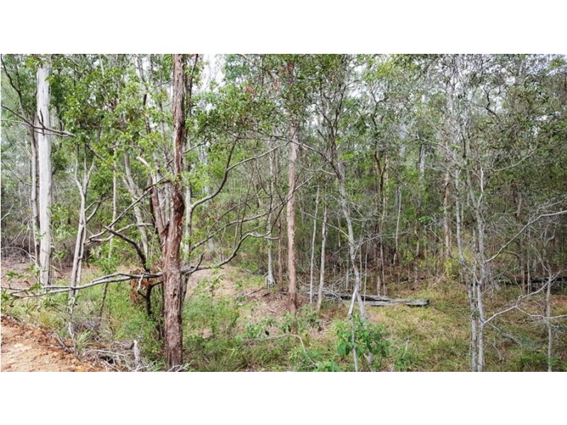 Lot 13 Herron Road, Pie Creek QLD 4570
