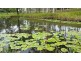 Lot 79 Cliff Jones Road, Curra QLD 4570