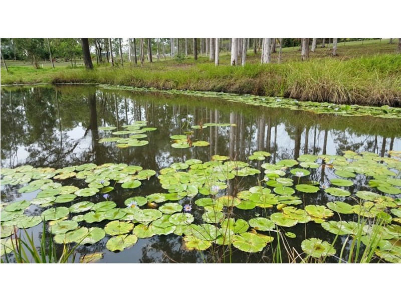 Lot 79 Cliff Jones Road, Curra QLD 4570