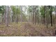 Lot 79 Cliff Jones Road, Curra QLD 4570