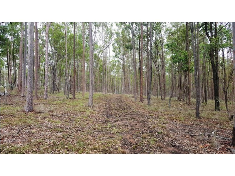 Lot 79 Cliff Jones Road, Curra QLD 4570