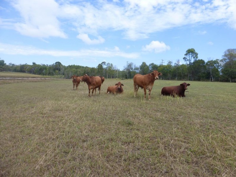 108 Kenree Road, Rosedale QLD 4674