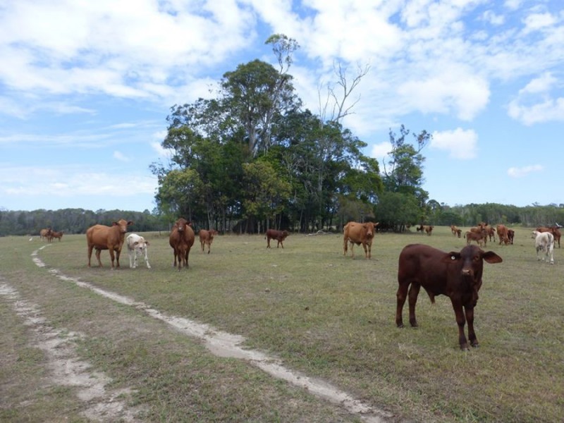 108 Kenree Road, Rosedale QLD 4674