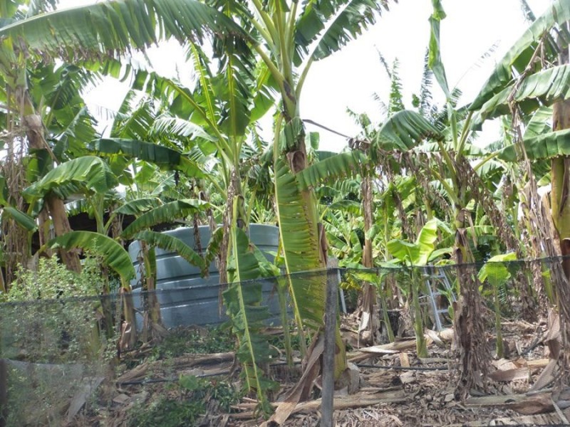 108 Kenree Road, Rosedale QLD 4674