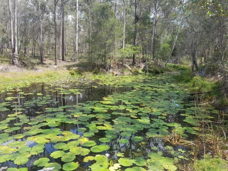 Lot 1 Caulfield Road, Tamaree QLD 4570