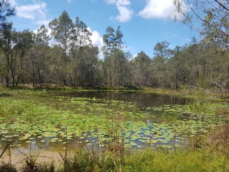 Lot 1 Caulfield Road, Tamaree QLD 4570