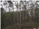Upper Glastonbury QLD 4570