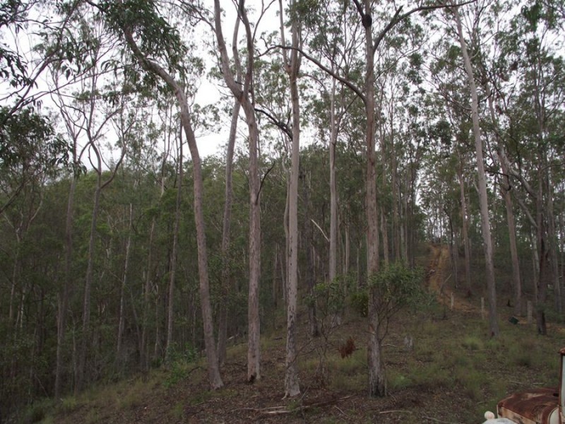 Upper Glastonbury QLD 4570