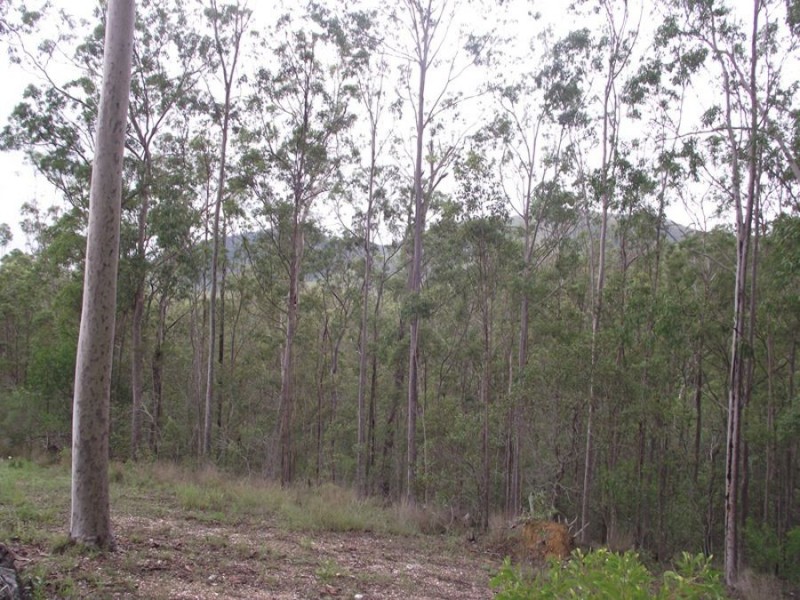 Upper Glastonbury QLD 4570