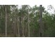 Upper Glastonbury QLD 4570