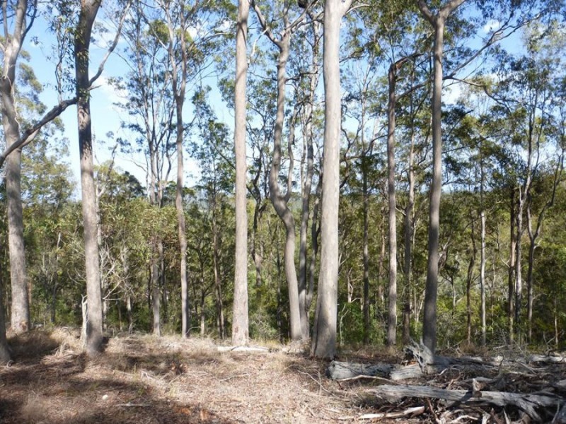 Veteran QLD 4570