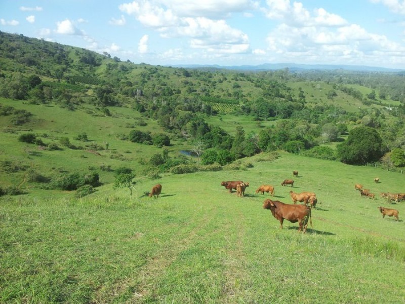 Marys Creek QLD 4570
