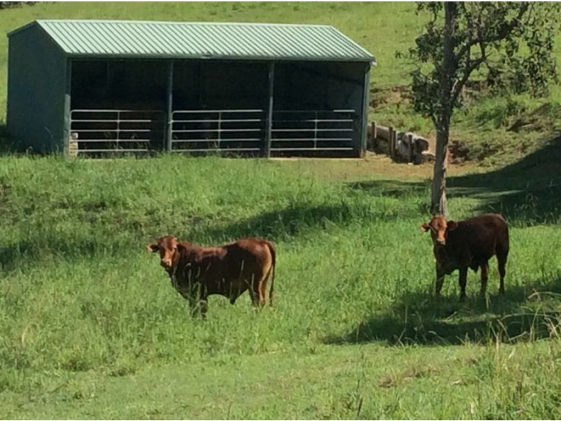 26 Plowman Road, Canina QLD 4570