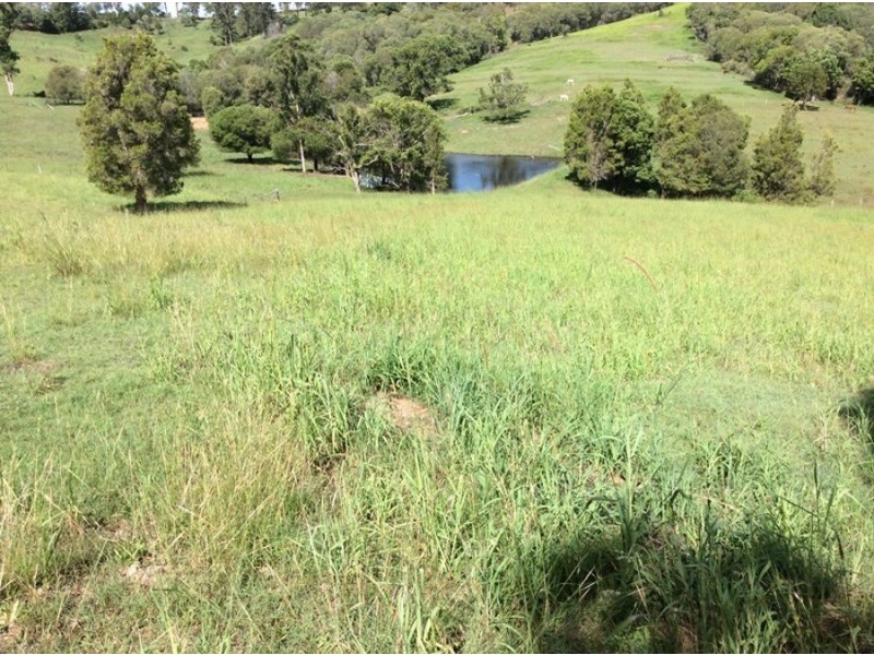 26 Plowman Road, Canina QLD 4570