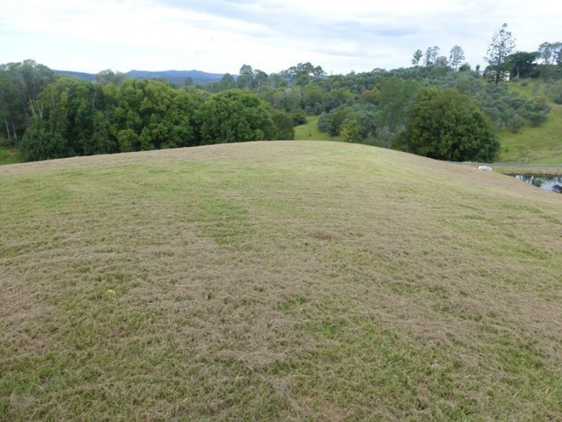 Lagoon Pocket QLD 4570