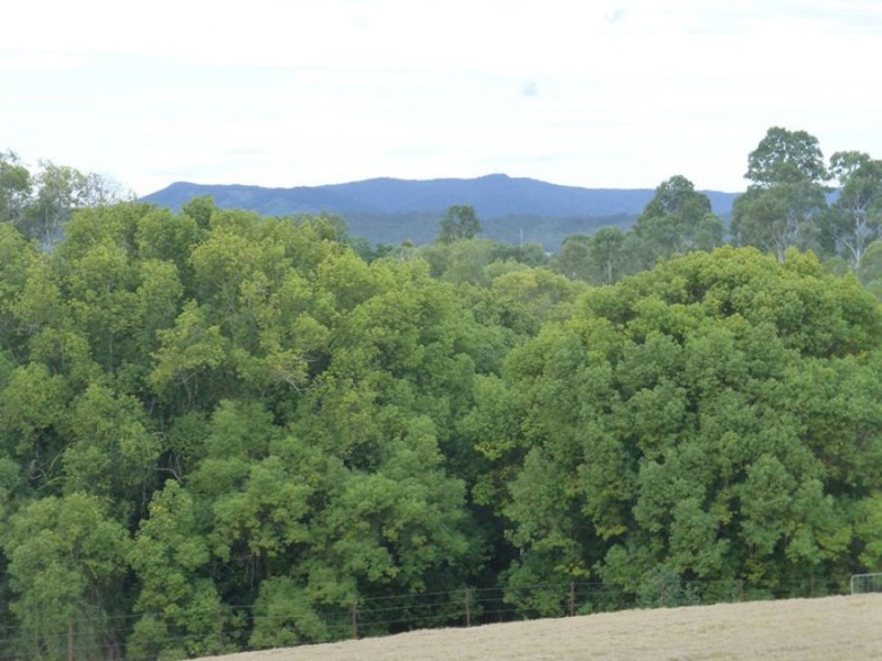 Lagoon Pocket QLD 4570