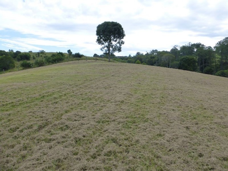 Lagoon Pocket QLD 4570