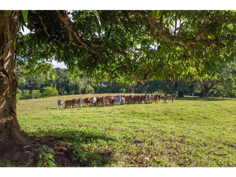 Coondoo QLD 4570