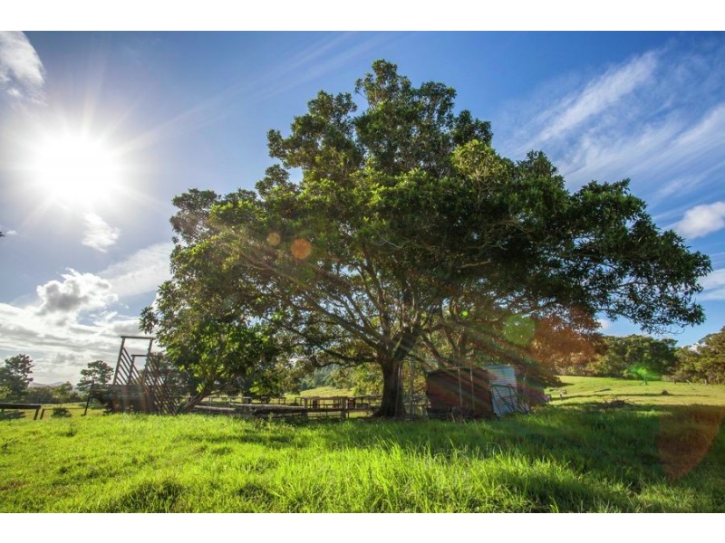 Coondoo QLD 4570
