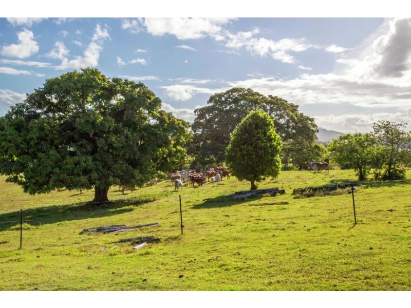 Coondoo QLD 4570