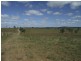 Silver Perch Road, Barambah QLD 4601