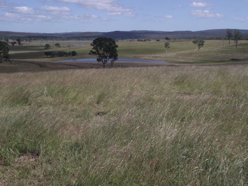 Silver Perch Road, Barambah QLD 4601