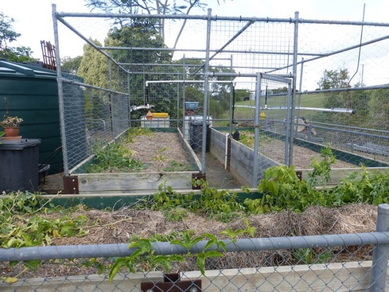 Lagoon Pocket QLD 4570