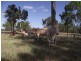 5927 Wide Bay Highway, Goomeri QLD 4601