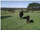 583 Blowers Road, Munna Creek QLD 4570