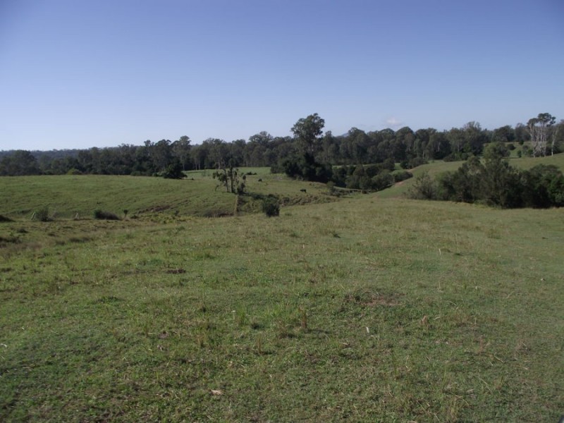 583 Blowers Road, Munna Creek QLD 4570