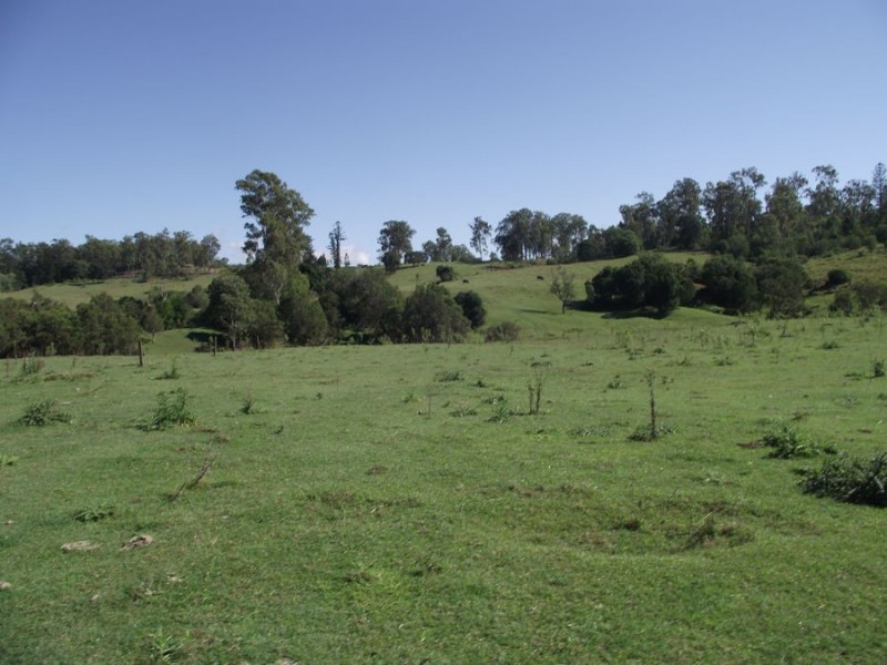 583 Blowers Road, Munna Creek QLD 4570