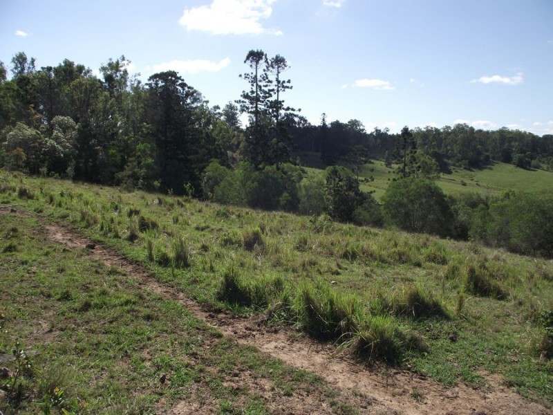 583 Blowers Road, Munna Creek QLD 4570