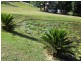18 Palmer Street, Kin Kin QLD 4571