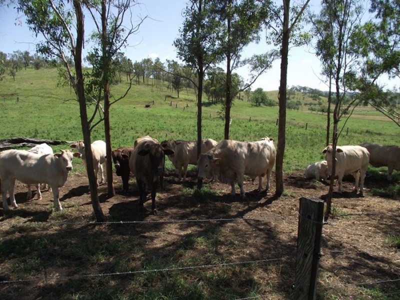 6473 Burnett Highway, Goomeri QLD 4601