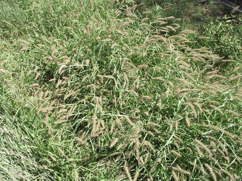 6473 Burnett Highway, Goomeri QLD 4601