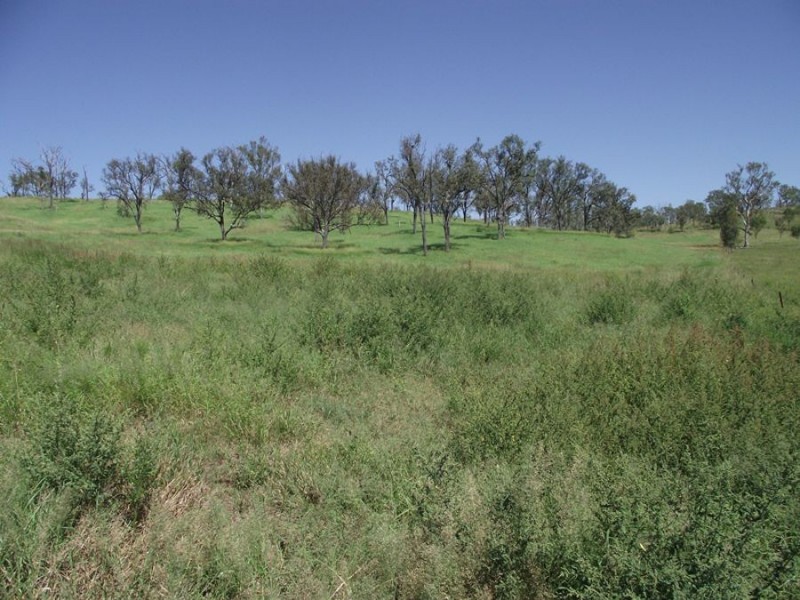 6473 Burnett Highway, Goomeri QLD 4601