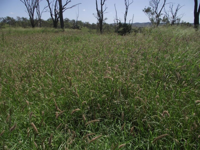 6473 Burnett Highway, Goomeri QLD 4601