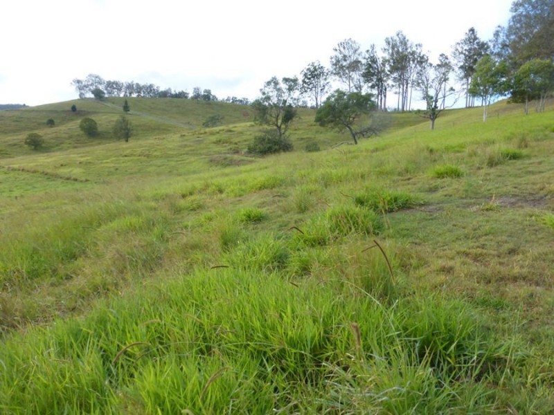 113 Bridge Creek Road, Greens Creek QLD 4570