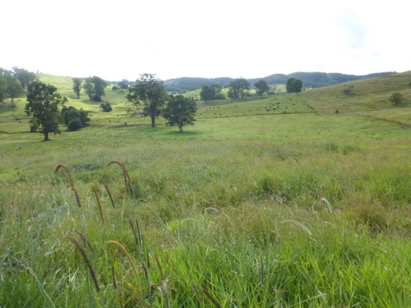113 Bridge Creek Road, Greens Creek QLD 4570
