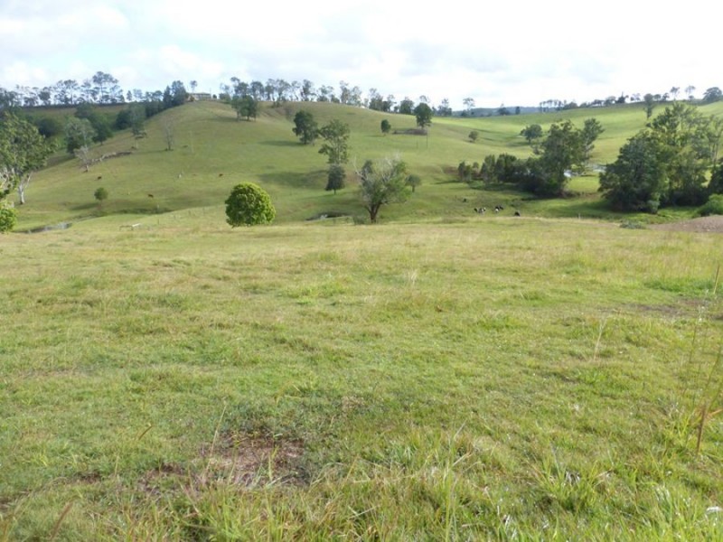 113 Bridge Creek Road, Greens Creek QLD 4570