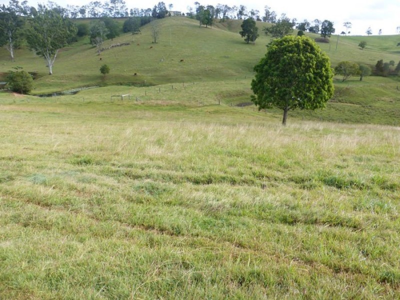 113 Bridge Creek Road, Greens Creek QLD 4570