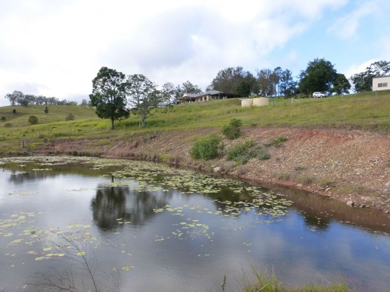 113 Bridge Creek Road, Greens Creek QLD 4570