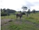 113 Bridge Creek Road, Greens Creek QLD 4570