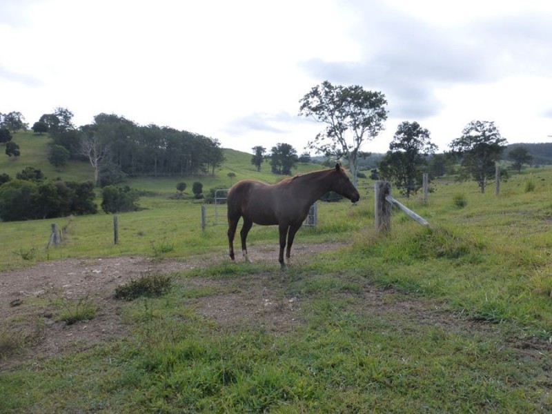 113 Bridge Creek Road, Greens Creek QLD 4570